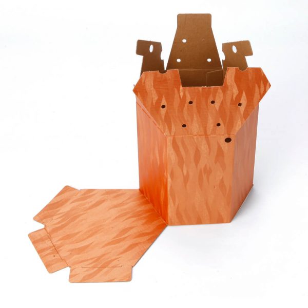 Custom Printed Hexagon Packaging Box1