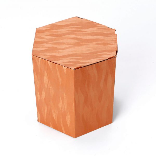 Custom Printed Hexagon Packaging Box10