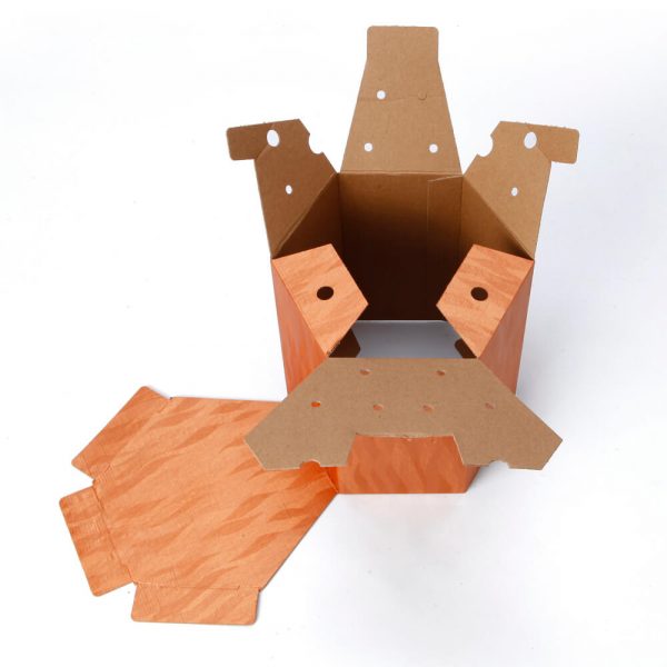 Custom Printed Hexagon Packaging Box2