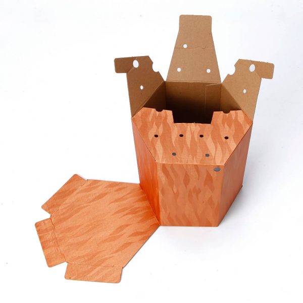 Custom Printed Hexagon Packaging Box3