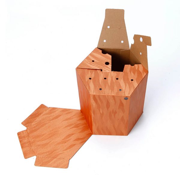 Custom Printed Hexagon Packaging Box4
