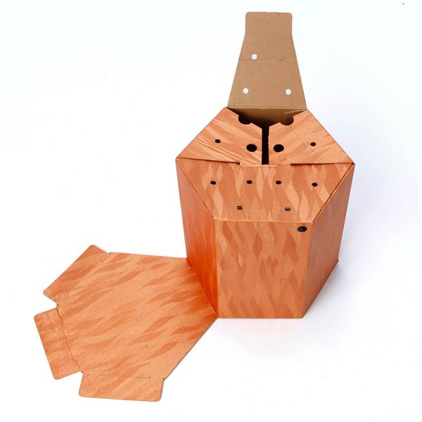 Custom Printed Hexagon Packaging Box5