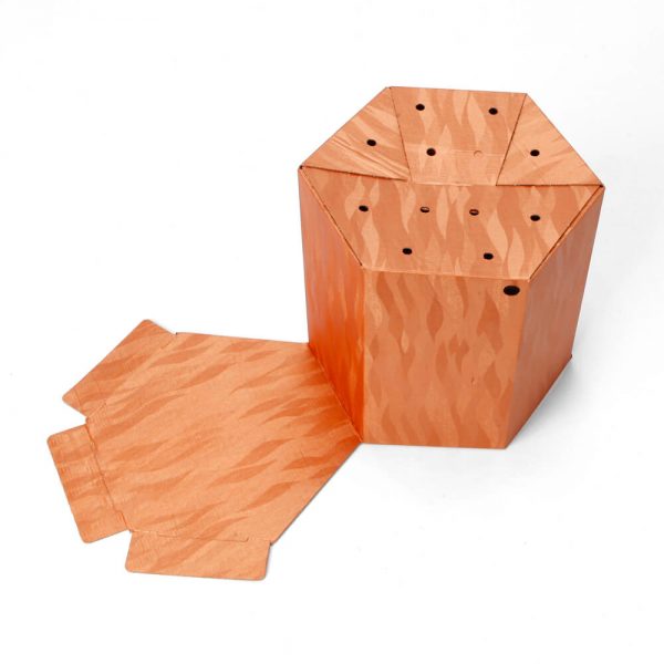 Custom Printed Hexagon Packaging Box6