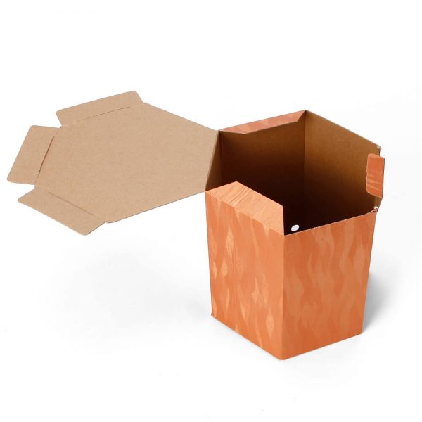 Custom Printed Hexagon Packaging Box7
