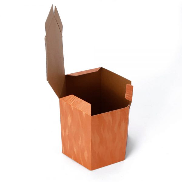 Custom Printed Hexagon Packaging Box8