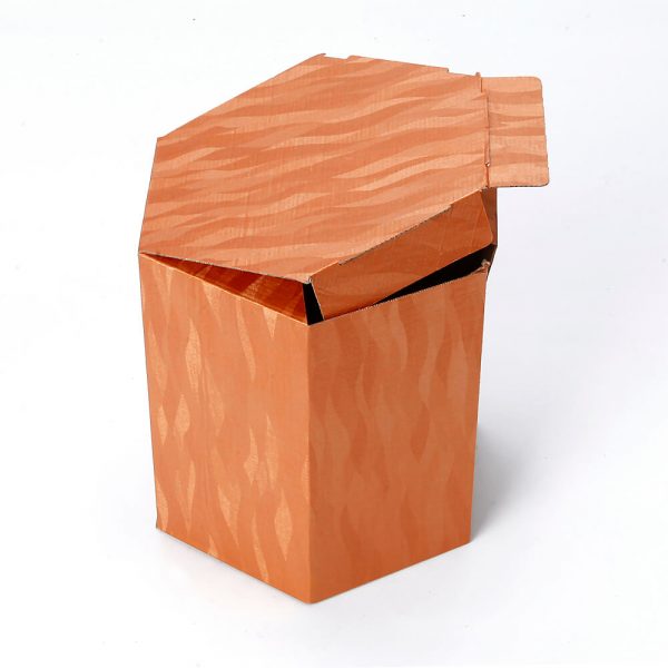 Custom Printed Hexagon Packaging Box9