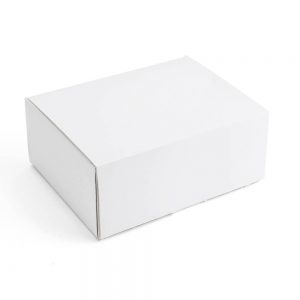 White Cardboard Shipping Boxes8