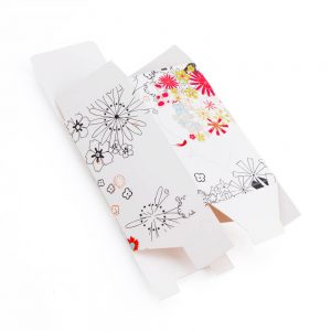 Custom Folding Carton Boxes1