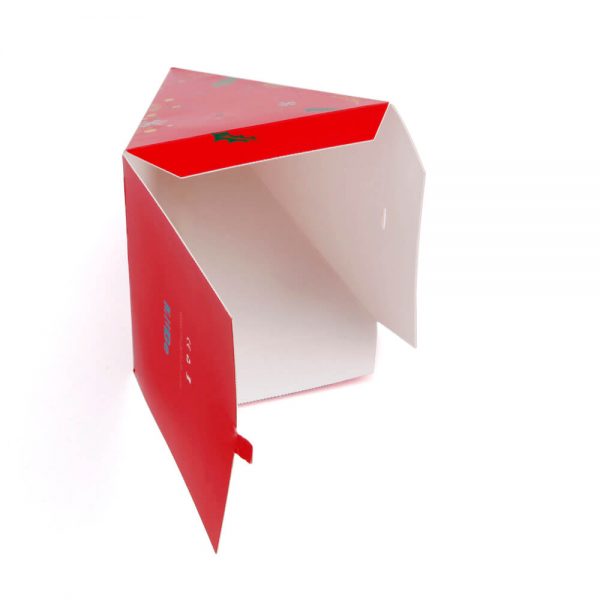 Custom Pyramid Boxes6