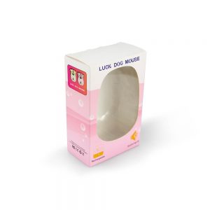 Computer Mouse Cardboard Box1